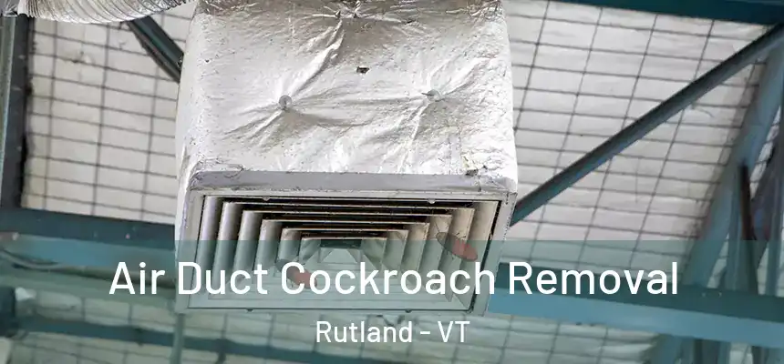  Air Duct Cockroach Removal Rutland - VT