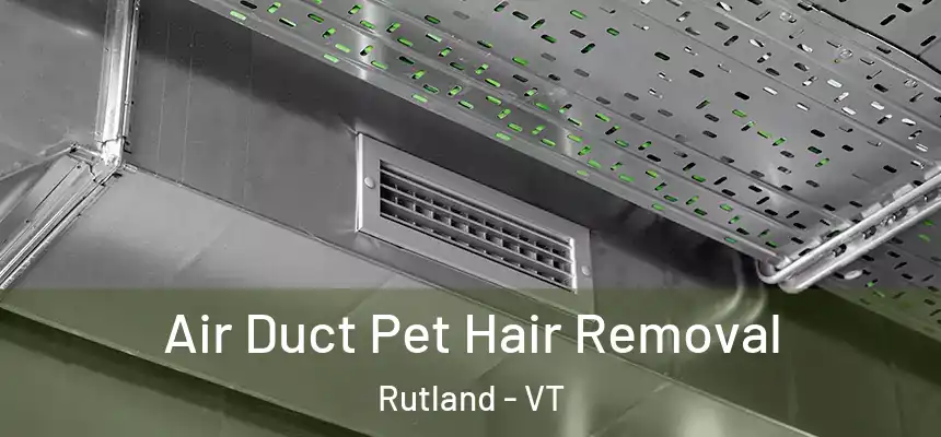  Air Duct Pet Hair Removal Rutland - VT