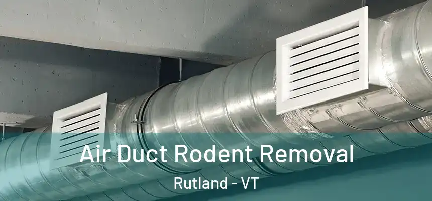  Air Duct Rodent Removal Rutland - VT