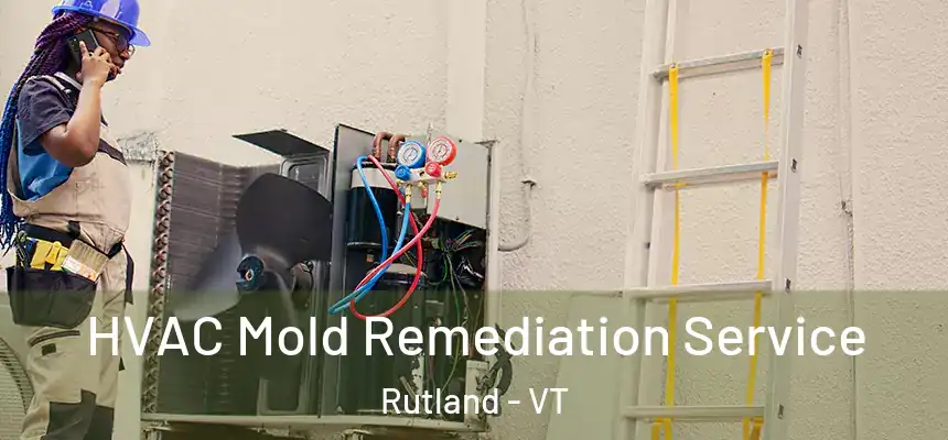  HVAC Mold Remediation Service Rutland - VT