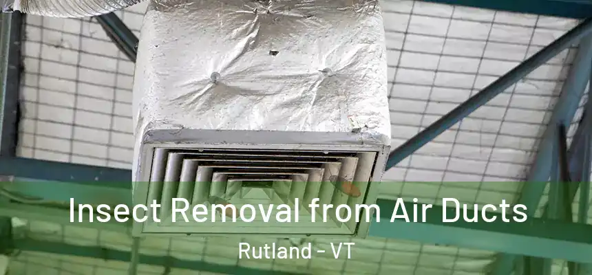  Insect Removal from Air Ducts Rutland - VT