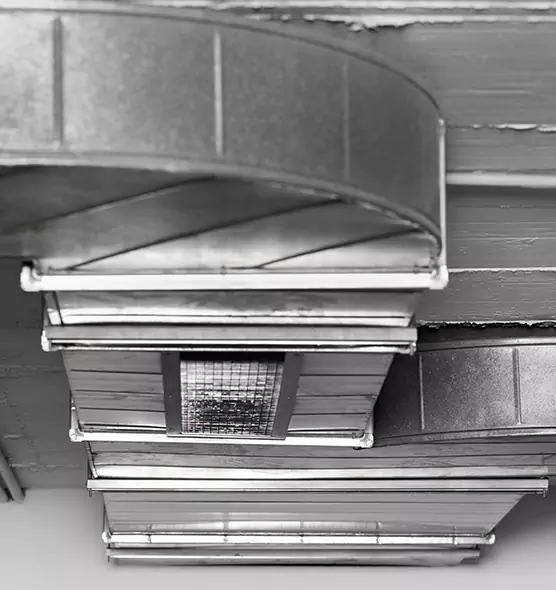 Professional Air Duct Pest Removal in Rutland, VT