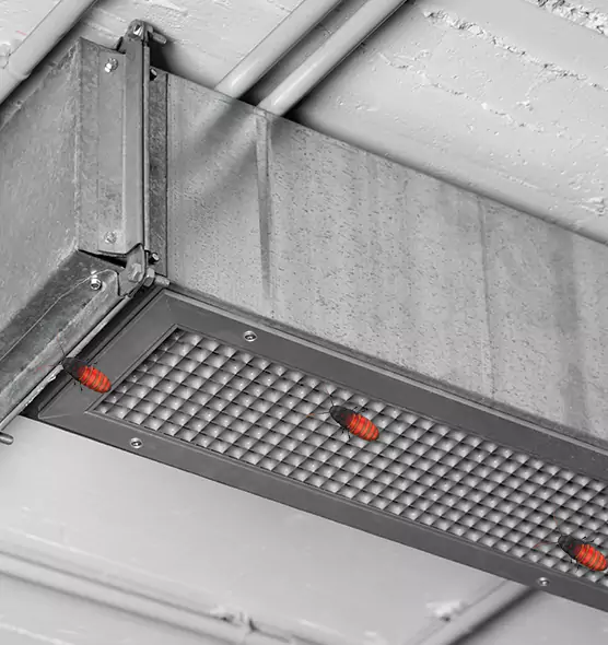 Affordable Insect Removal from Air Ducts in Rutland, VT