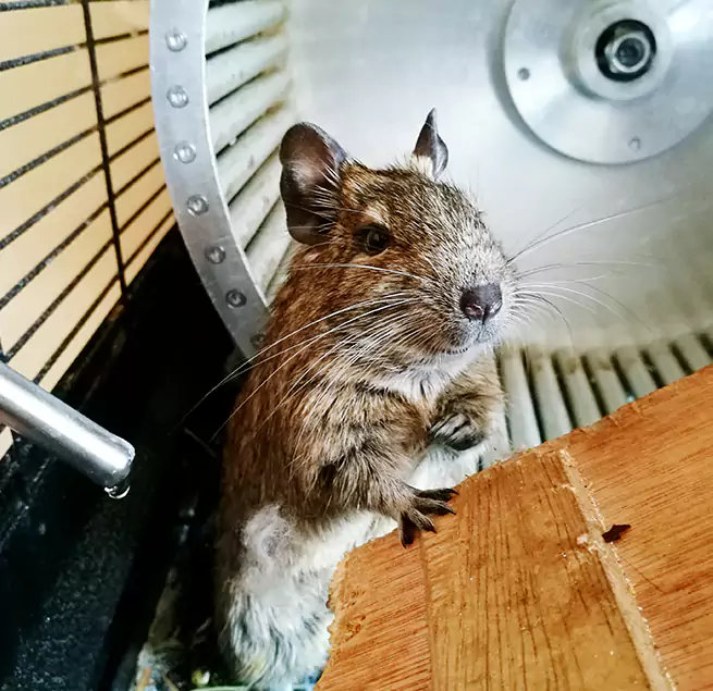 Why Homeowners & Businesses Trust Us Rutland, VT?