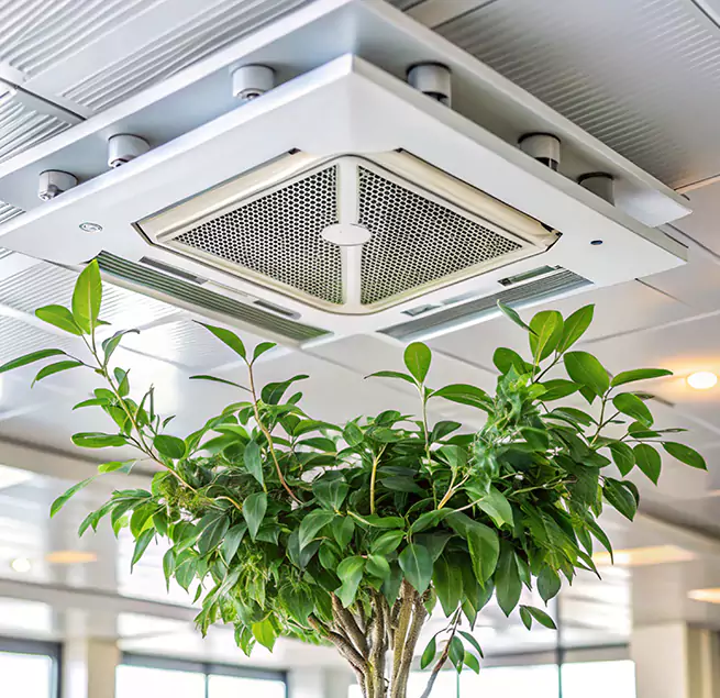 Why Homeowners & Businesses Trust Us in Rutland, VT